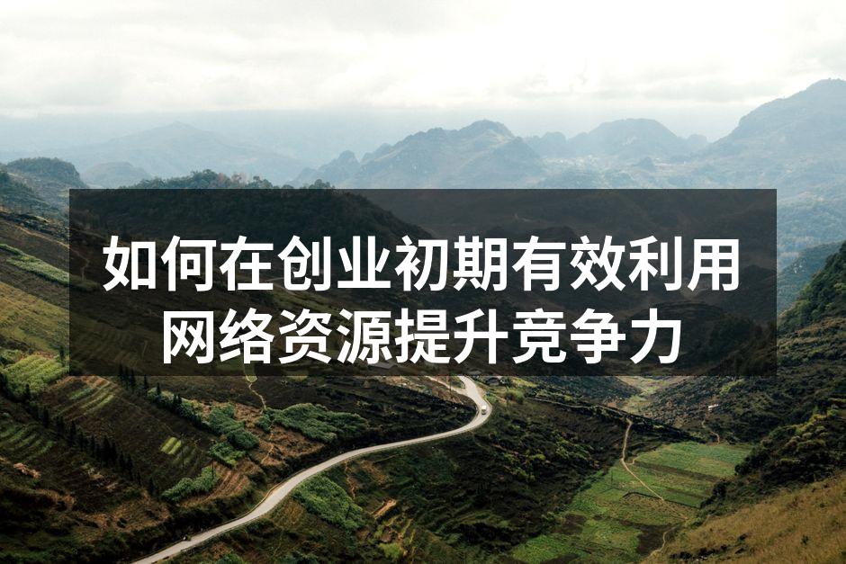 如何在创业初期有效利用网络资源提升竞争力